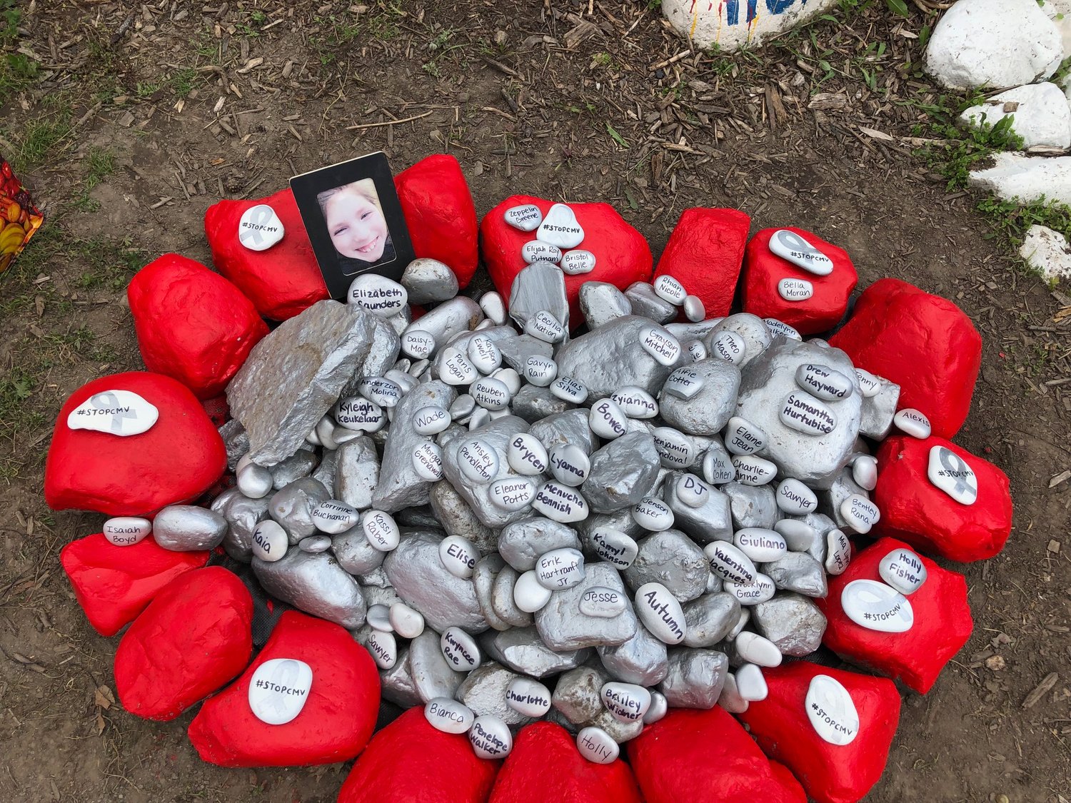 A memorial of 220 silver rocks (the color of CMV awareness) on the Trail of Hope honoring the number of babies born disabled by congenital CMV in New York each year, was created as part of a June 2021 CMV Awareness Month presentation in Lyons, NY. The rocks memorialize the names of 70 children that families asked to be included.